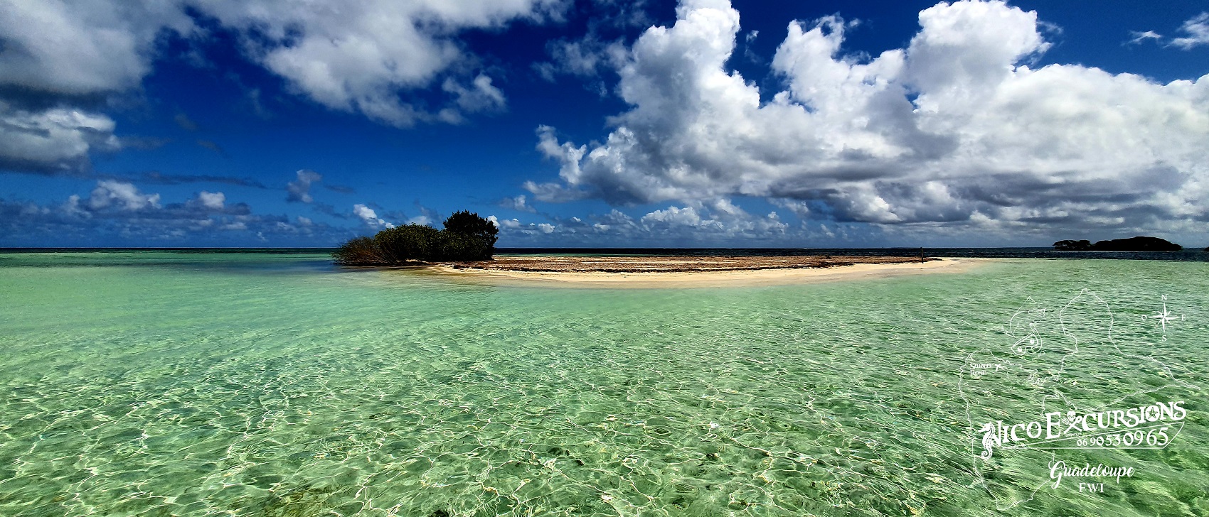 Excursion bateau réserve naturelle 